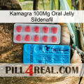 Kamagra 100Mg Oral Jelly Sildenafil new14